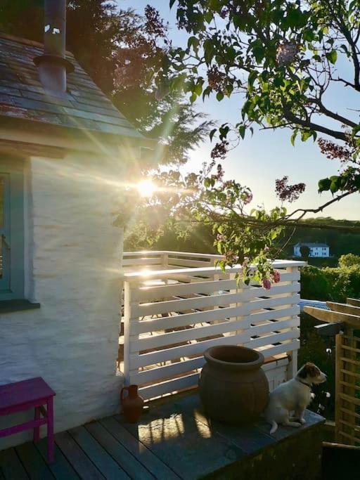 The Little Post House. A Perfect Village Retreat, With Stunning Views. Boscastle Exterior photo